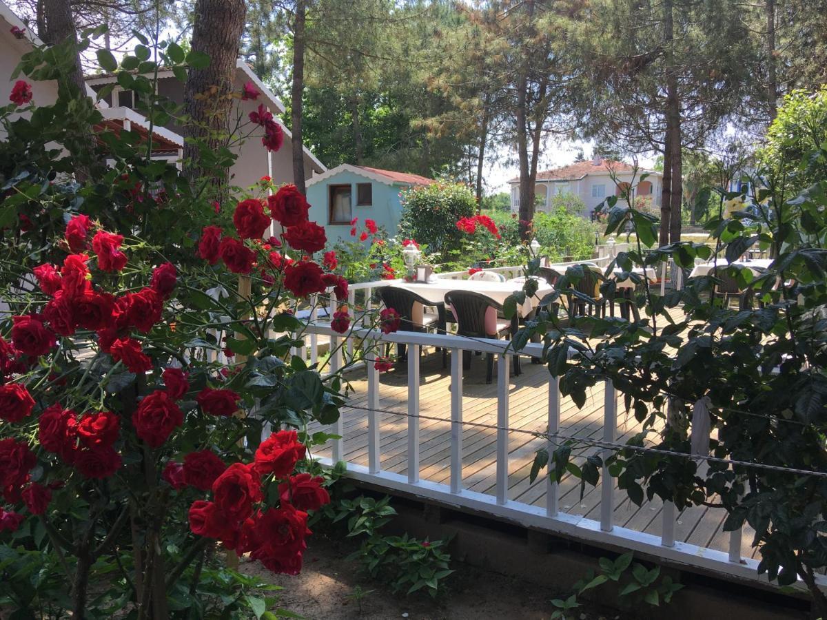 Hotel Shila Doert Mevsim Tatil Koyu à Ağva Extérieur photo