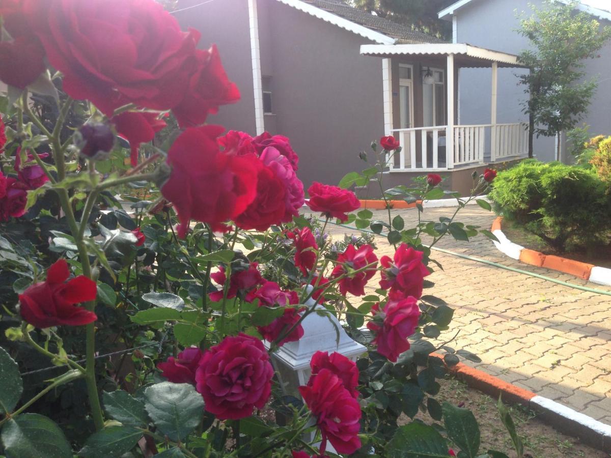Hotel Shila Doert Mevsim Tatil Koyu à Ağva Extérieur photo