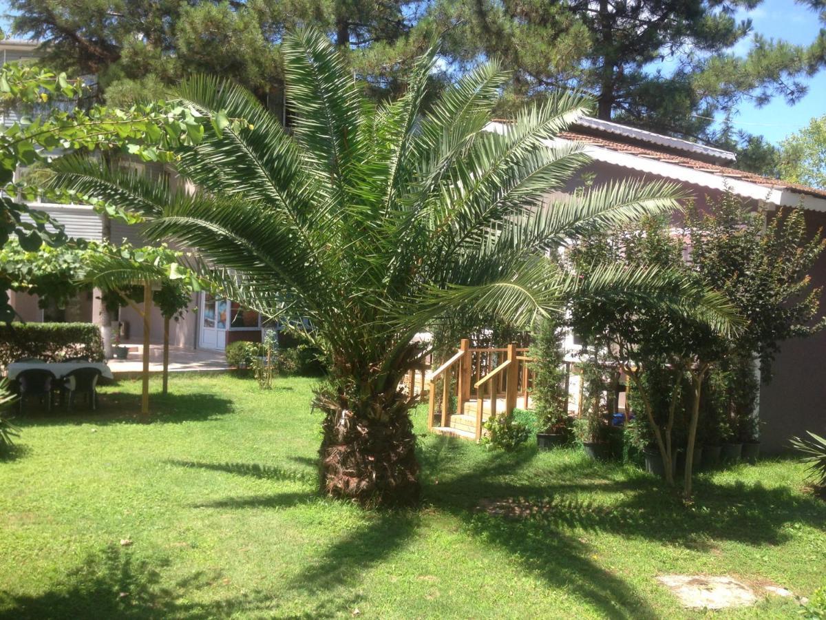 Hotel Shila Doert Mevsim Tatil Koyu à Ağva Extérieur photo